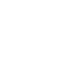 Tampa Taco Fest